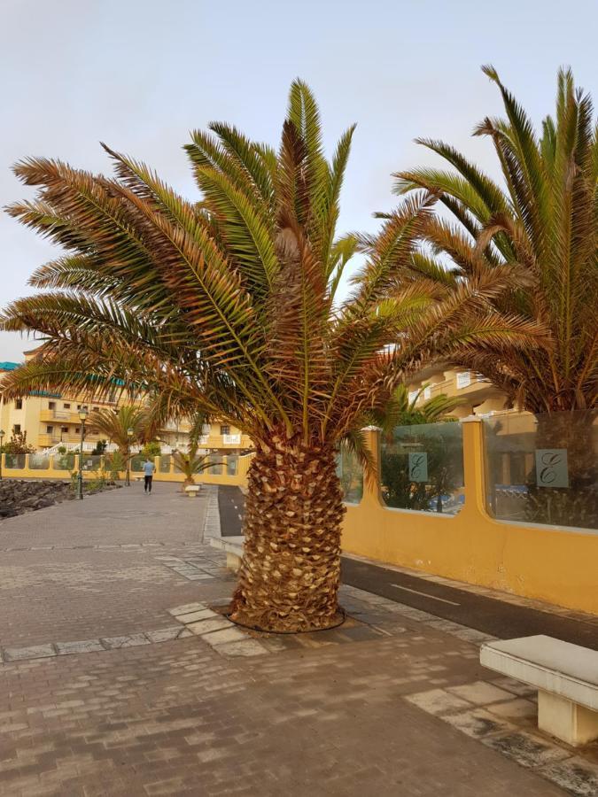Casa Mia Daire Caleta De Fuste Dış mekan fotoğraf